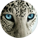 PRO fox profile picture