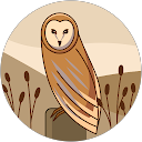 Пис Кос profile picture